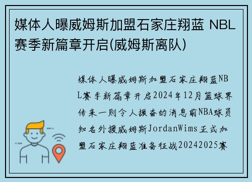 媒体人曝威姆斯加盟石家庄翔蓝 NBL赛季新篇章开启(威姆斯离队)